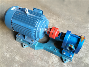 2CY齿轮泵-2CY不锈钢齿轮油泵