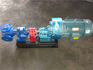 泊头海涛泵业高粘度转子泵厂家-NCB系列高粘度转子泵