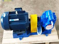 kcb200防爆变频齿轮泵-kcb200防爆齿轮泵