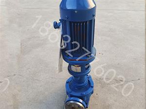 泊头海涛泵业LRY32立式导热油泵-立式导热油泵