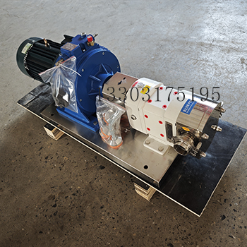 3RP-3Z-35型凸轮转子泵