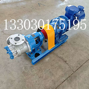 NYP10高粘度转子泵