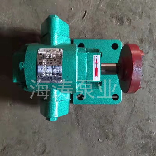 外润滑齿轮泵WKCB55/0.33