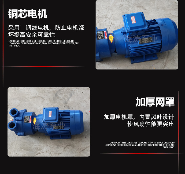 2bv真空泵，2bv系列水环式真空泵